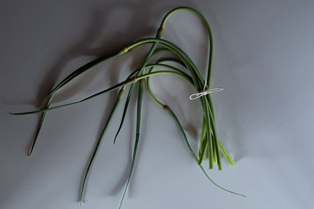 Garlic scapes (bunch)