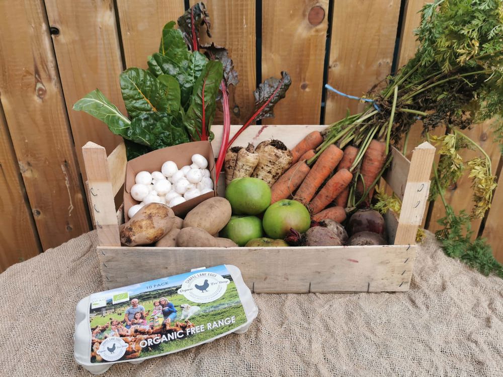 Fortnightly Vegetable Box with Eggs