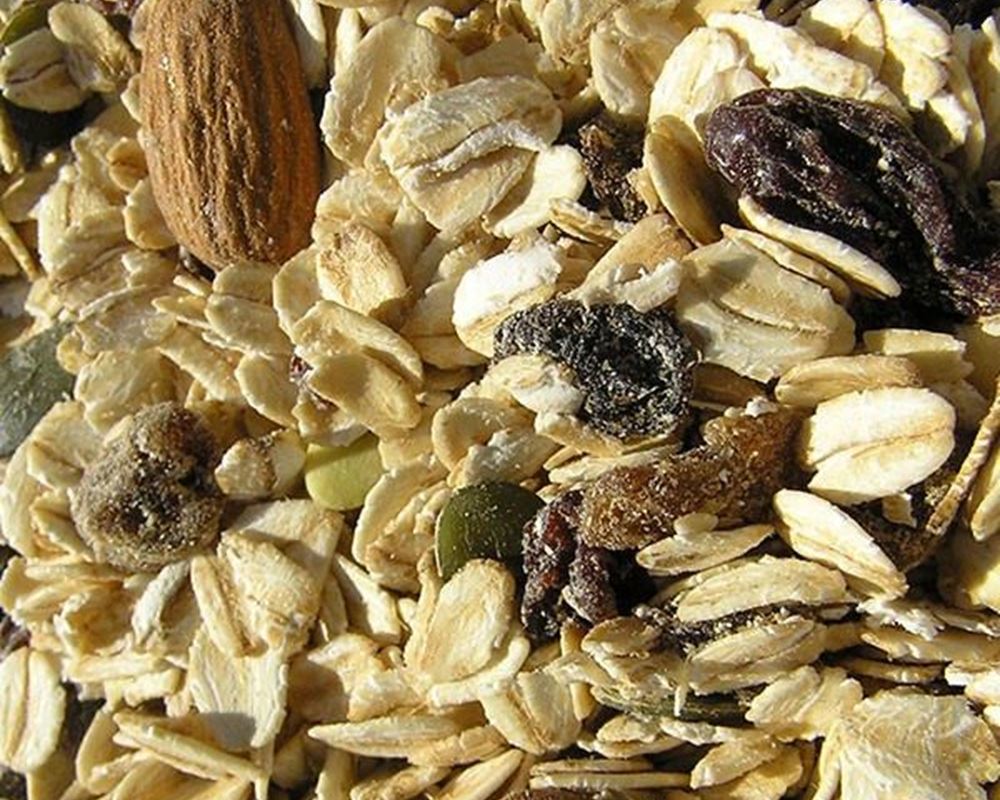 Muesli Sulphur Free: Fruit-Nut-Seeds - HG