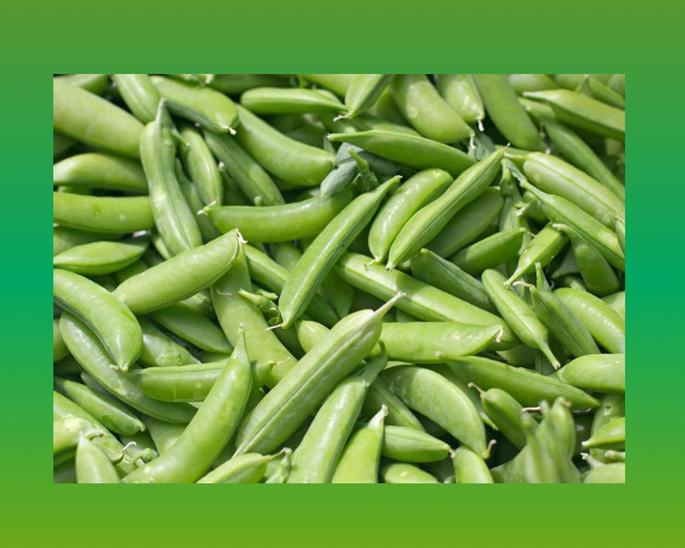 Sugar Snap Peas