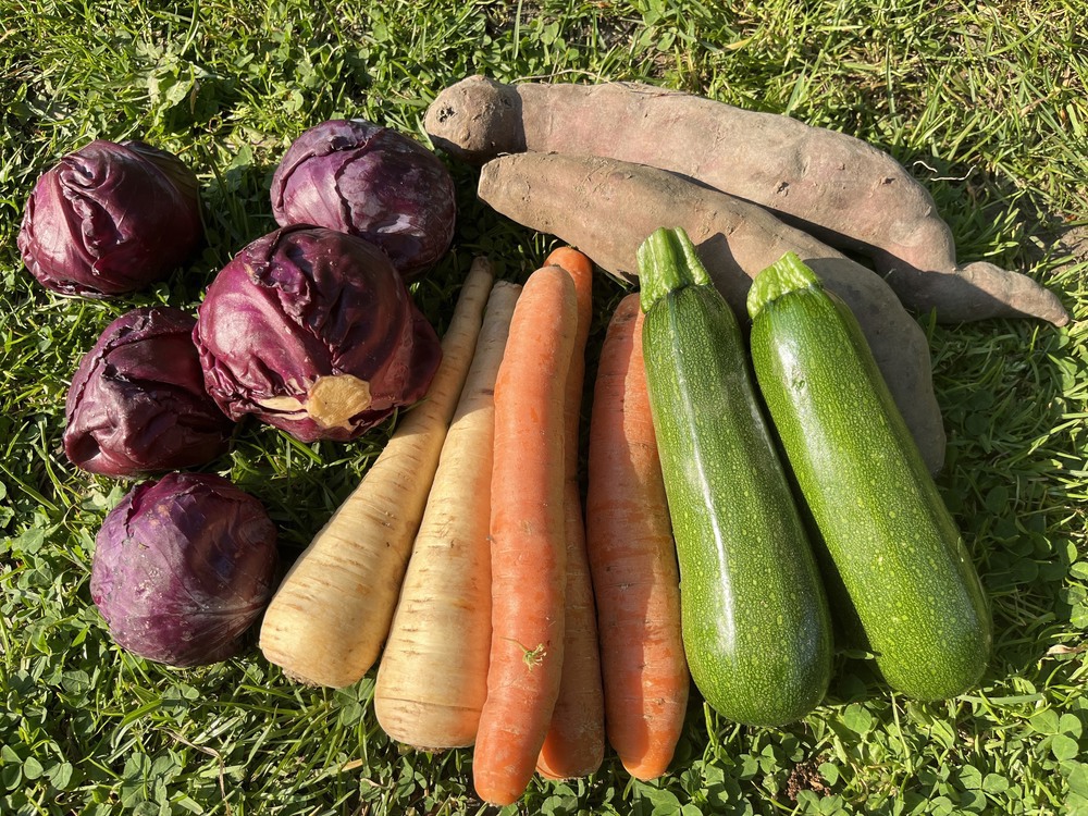 Small Veg Box