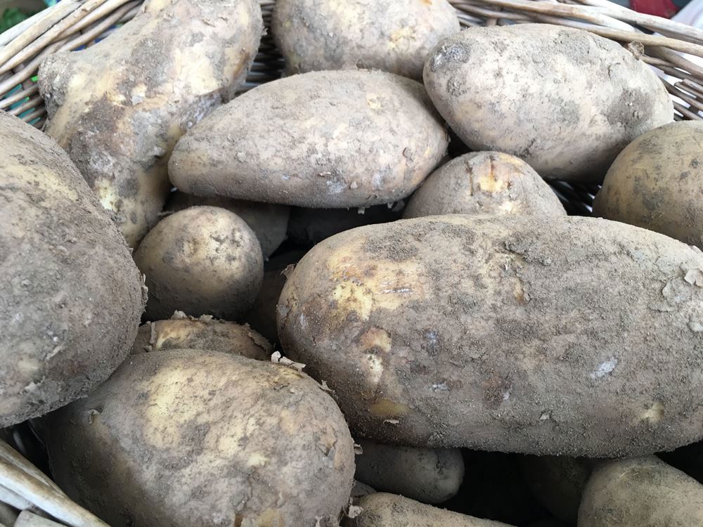 Potatoes - White - 1kg