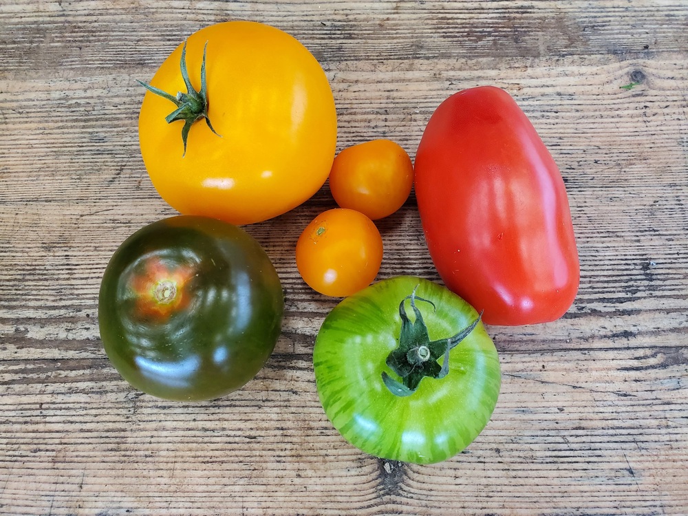 Tomatoes - heirloom