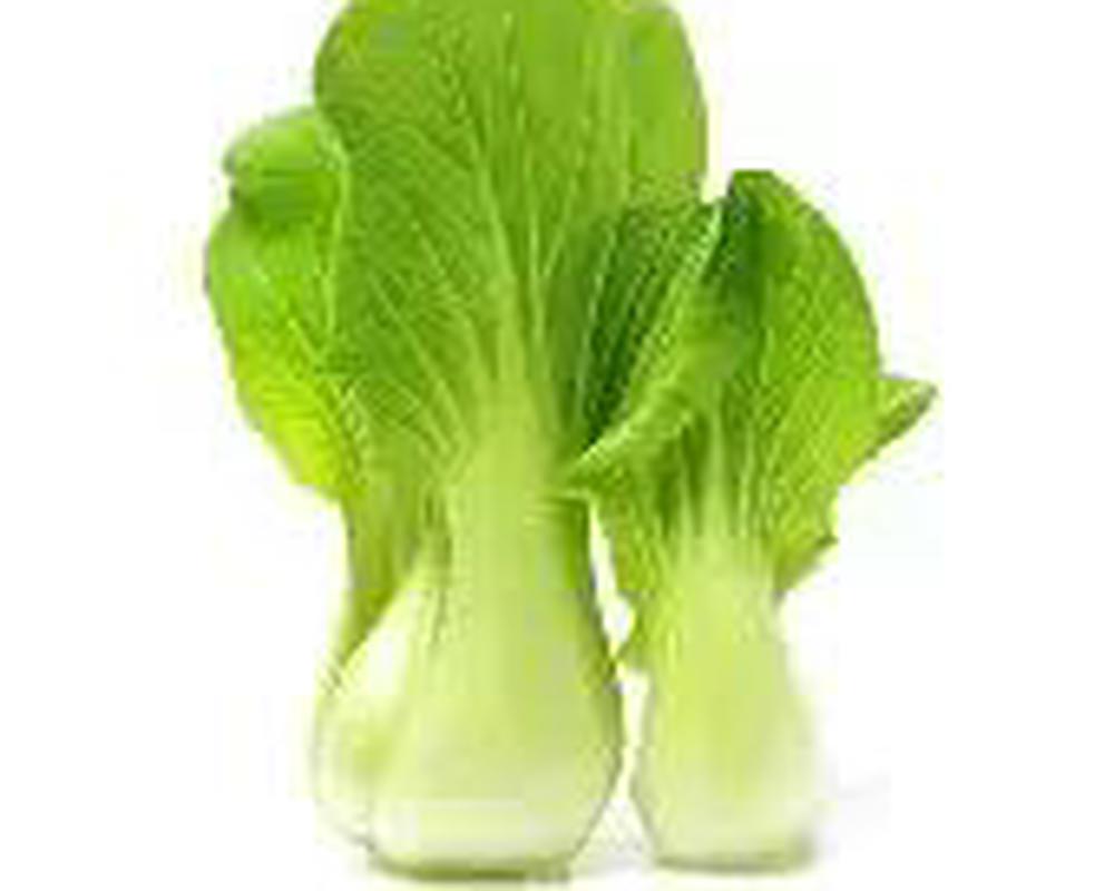 Pak Choi