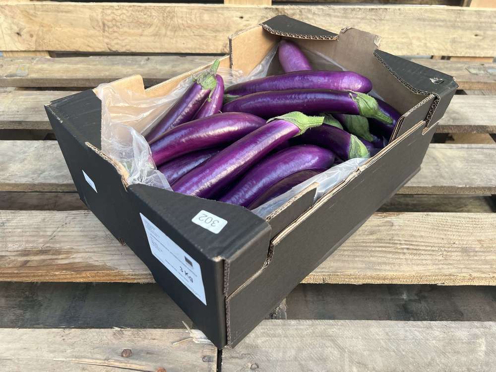 Organic Aubergine Pink Tongue