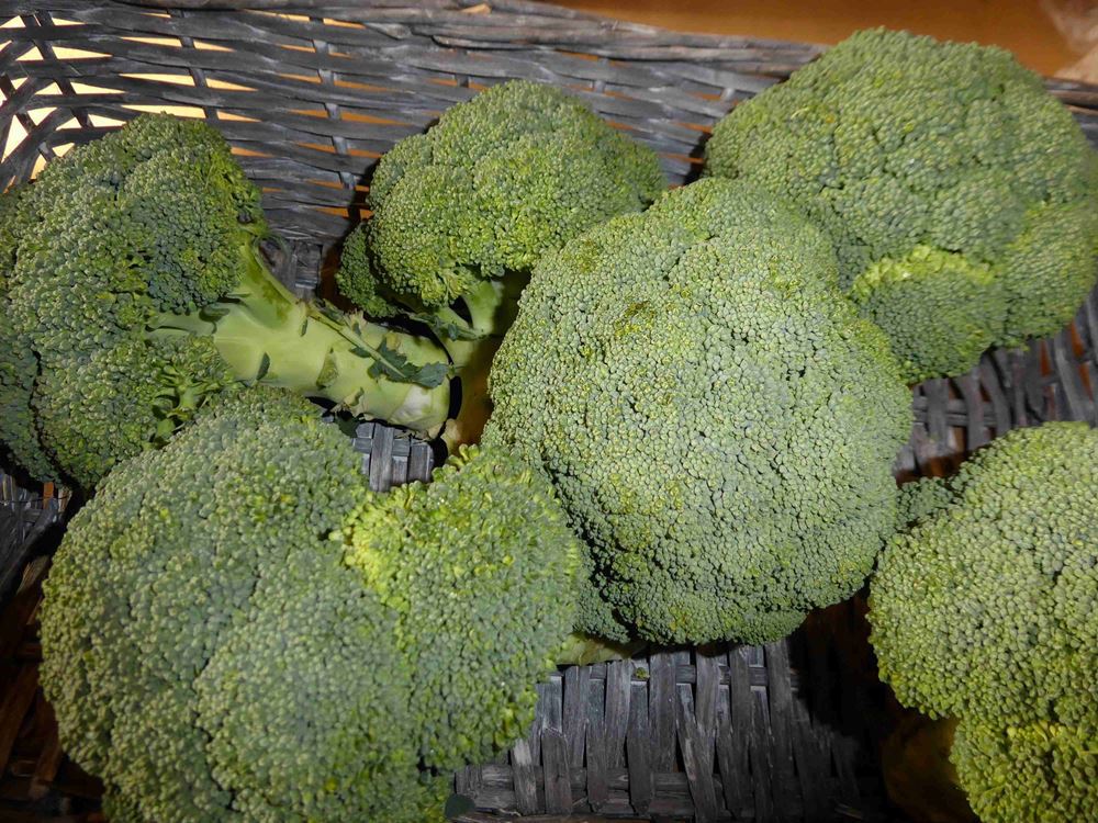 V.Broccoli small