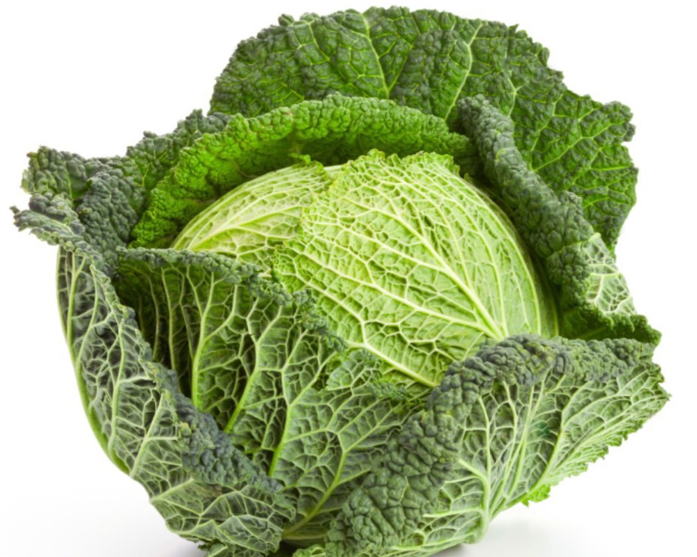 Savoy Cabbage