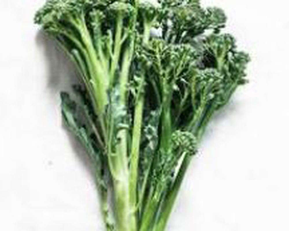 Tenderstem Broccoli 🇬🇧