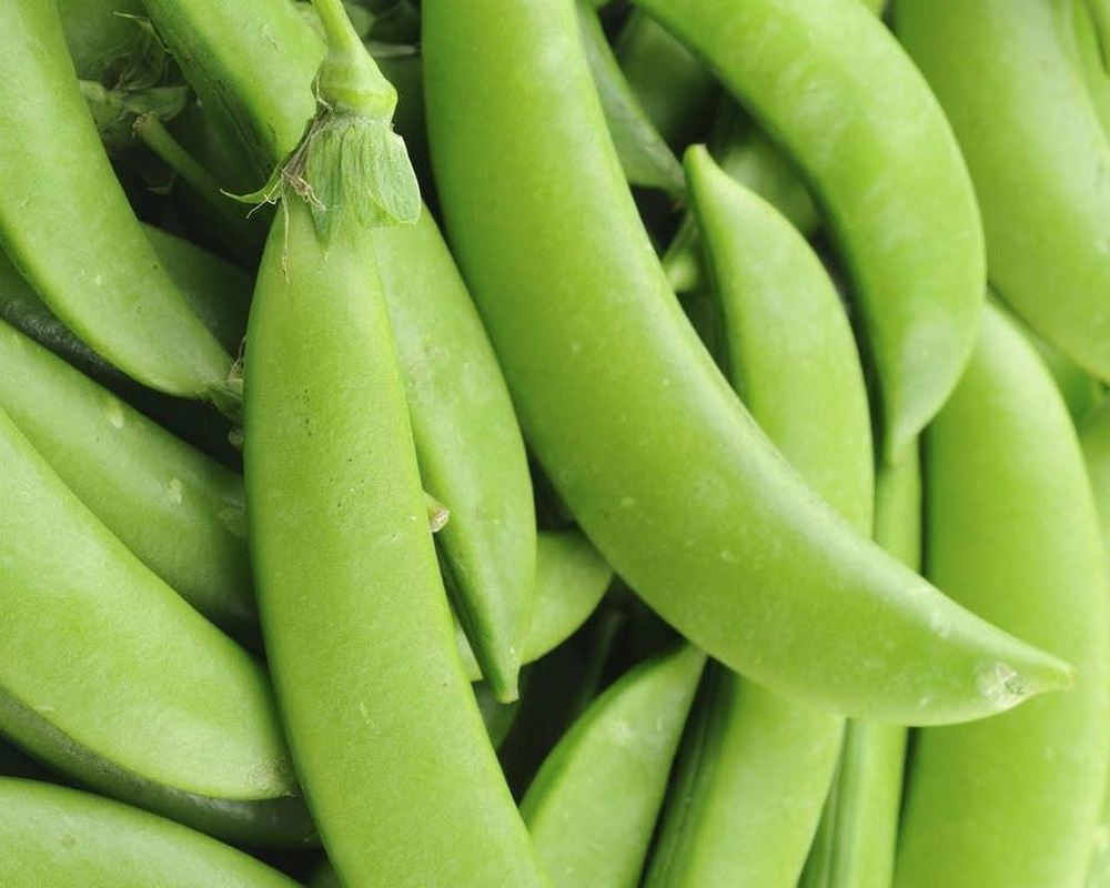 Sugar snap peas - 500g party pack