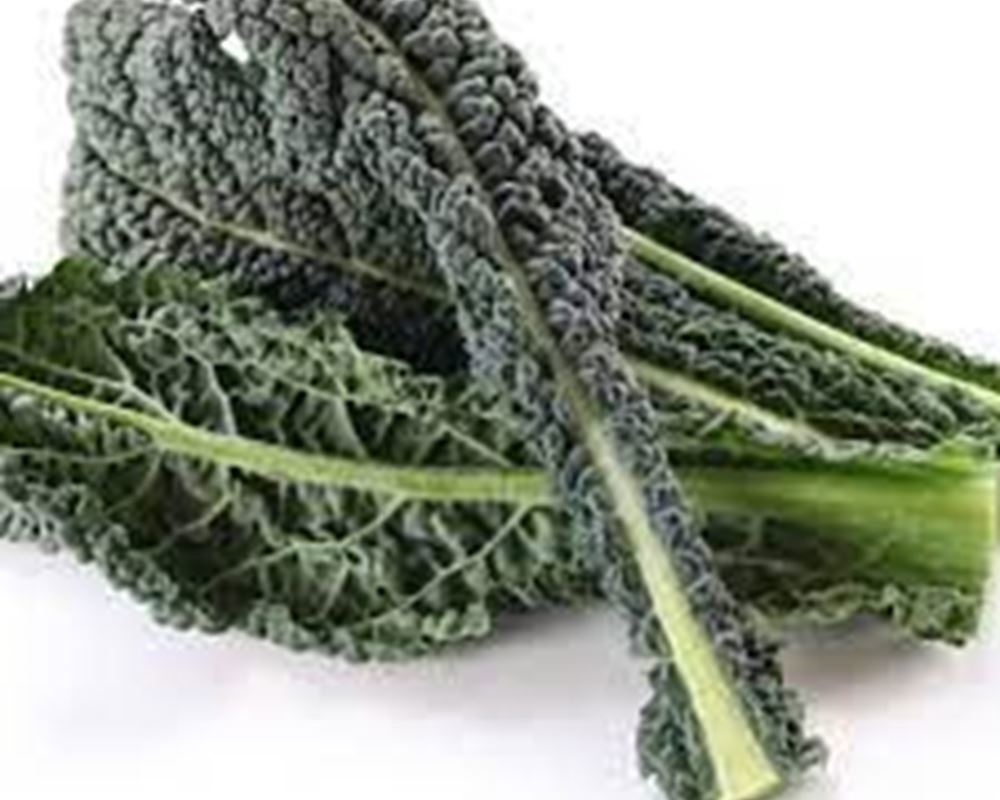 Cavolo Nero