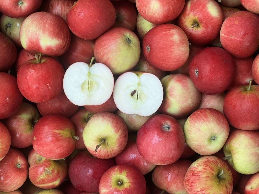 Apple: Scrumptious