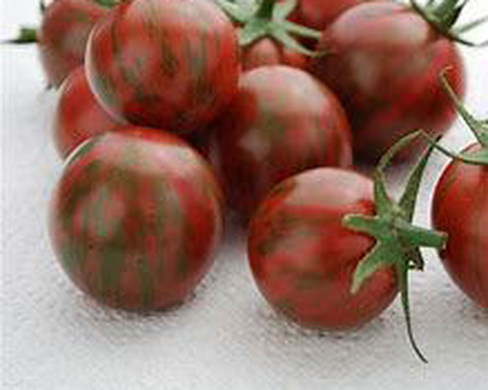 Tomato Heirloom
