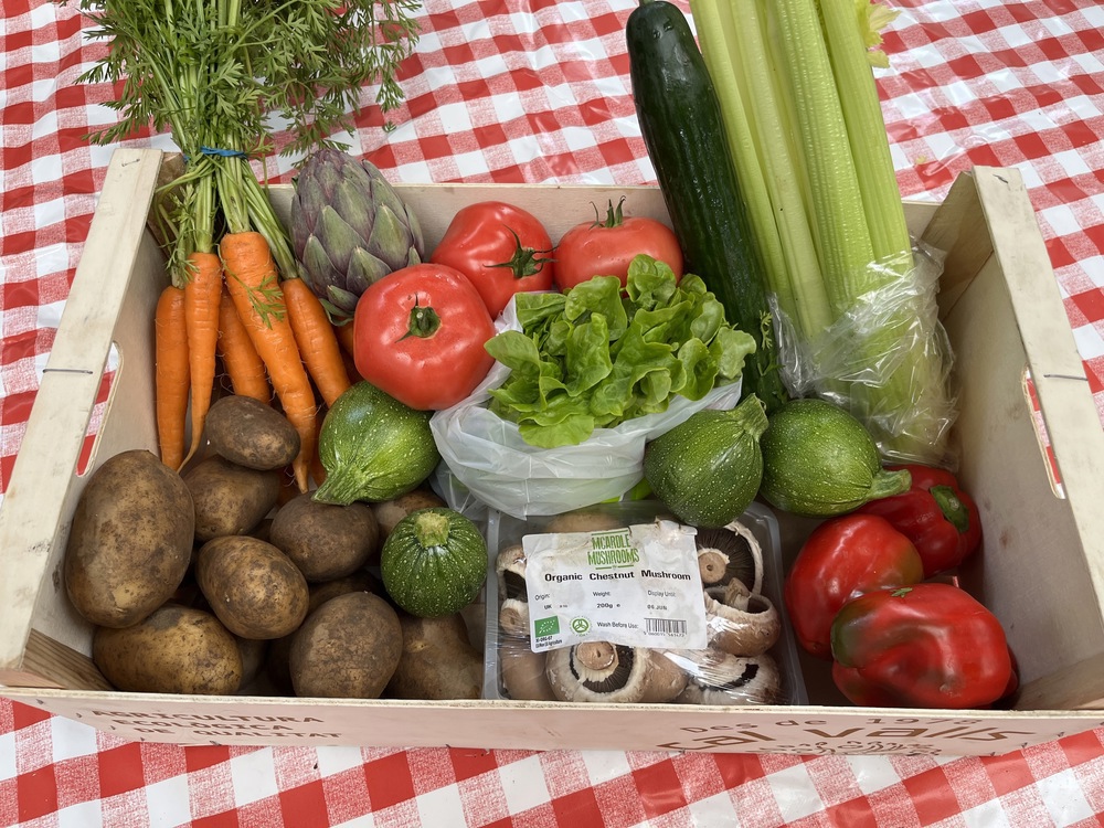 Large Veg Box