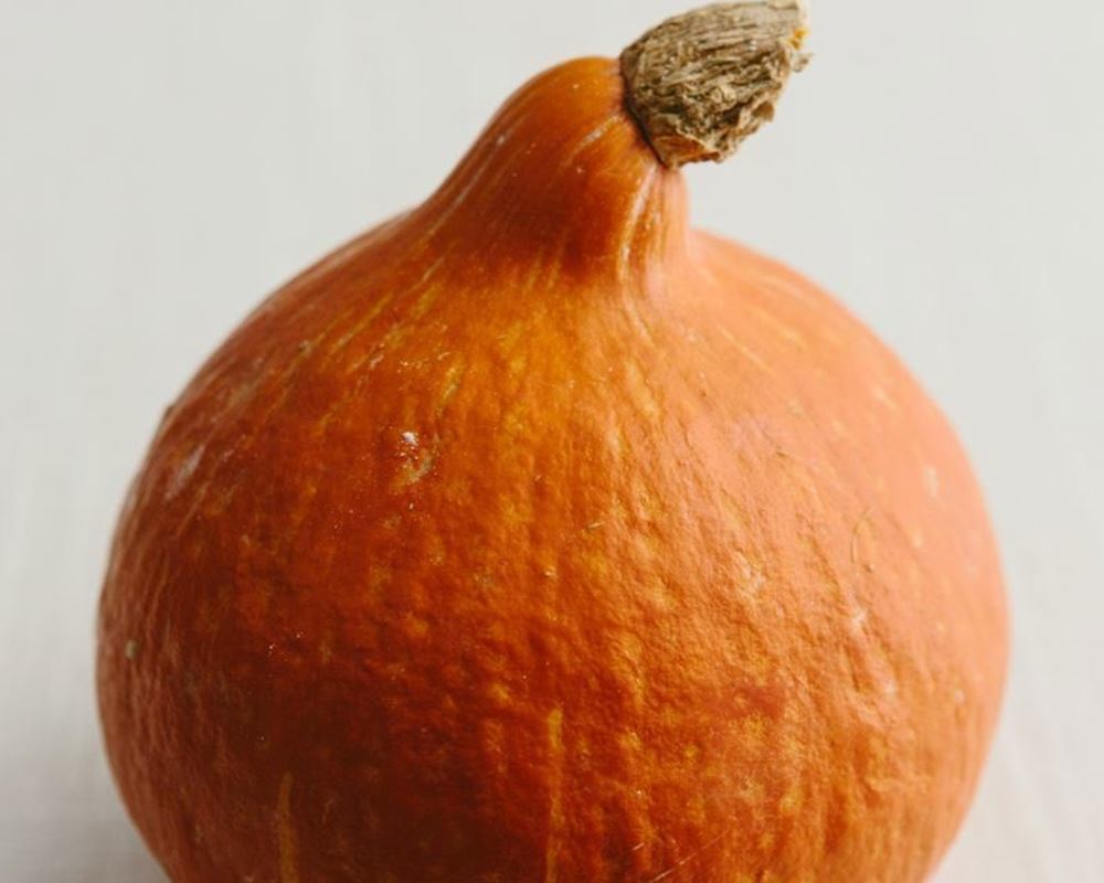 Squash Red Kuri