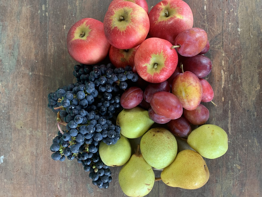 Seasonal Organic Fruit
