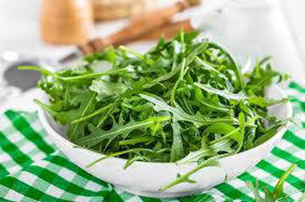 Rocket salad