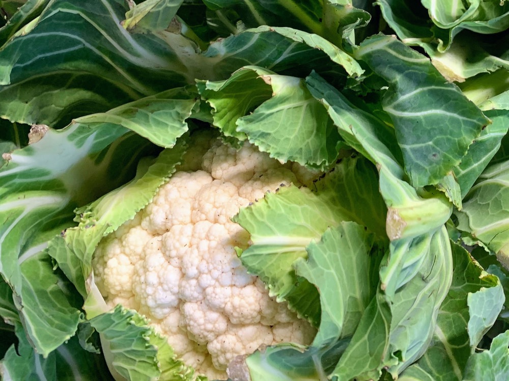 Cauliflower