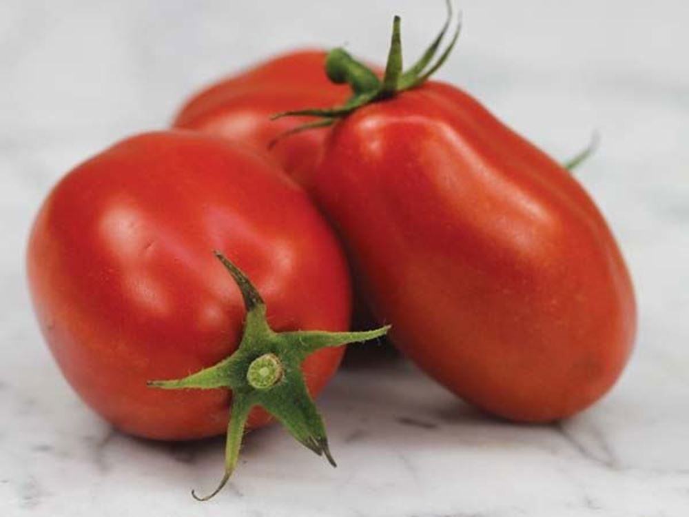 Tomato: Roma Vine