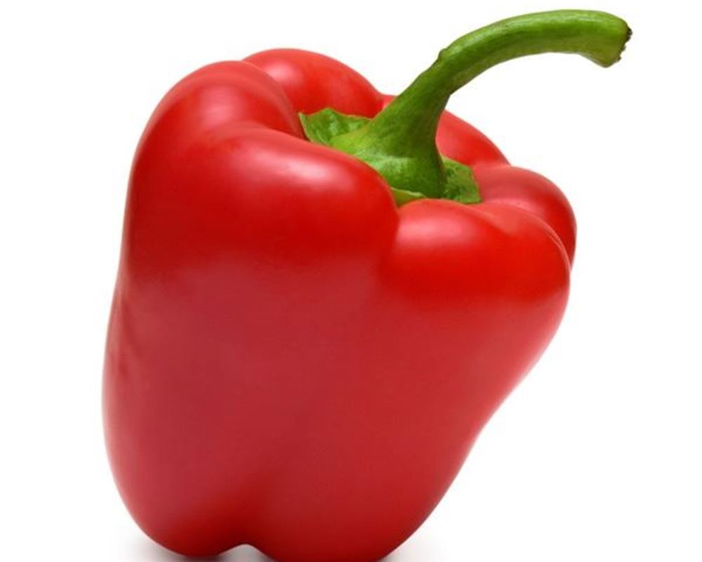 Pepper: Red x2 large