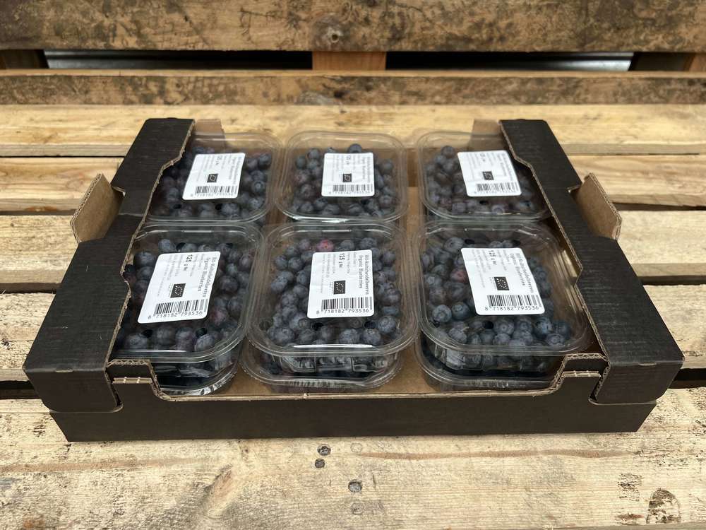 Organic Blueberry 12 x 125g