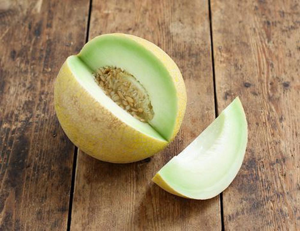 Melon: Galia