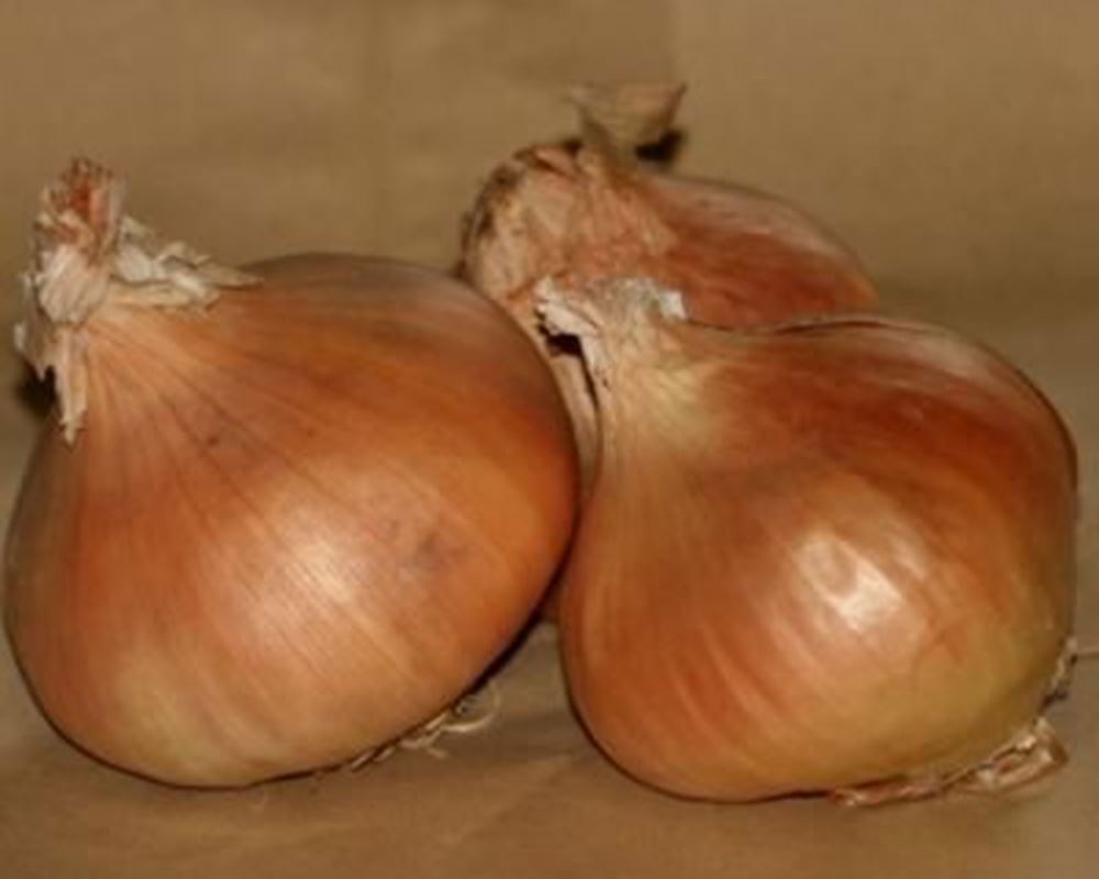 Onions - Bulb 500g