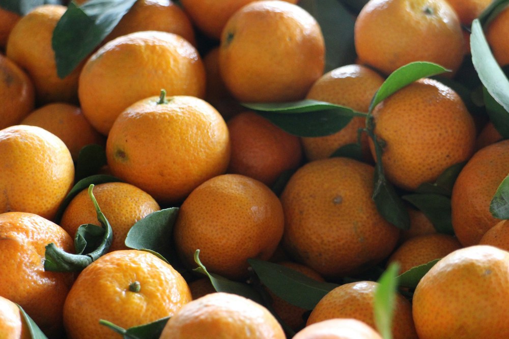 Organic Mandarins