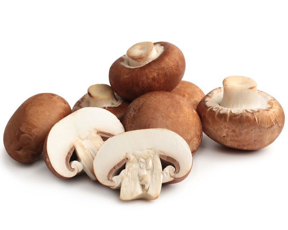 Mushrooms Chestnut