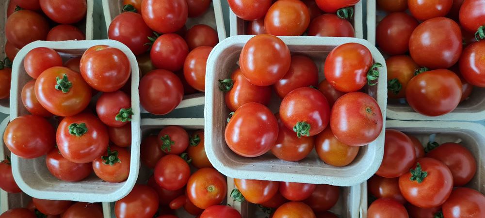Cherry Tomatoes