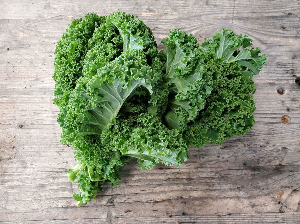 Kale - green curly