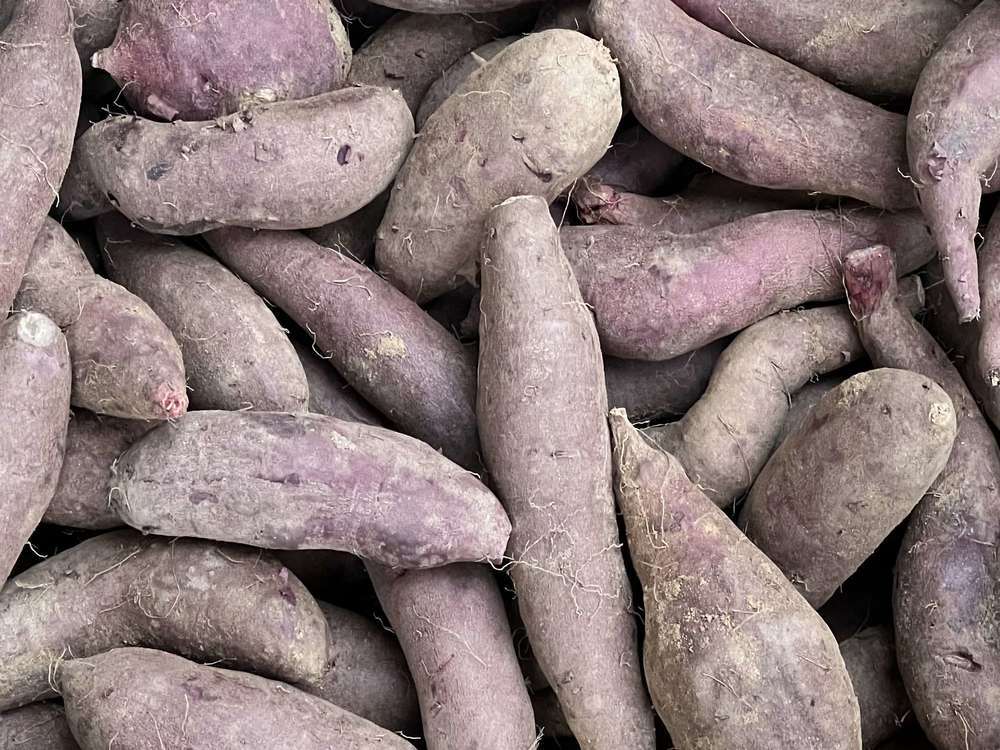 Sweet Potatoes - Purple (France)