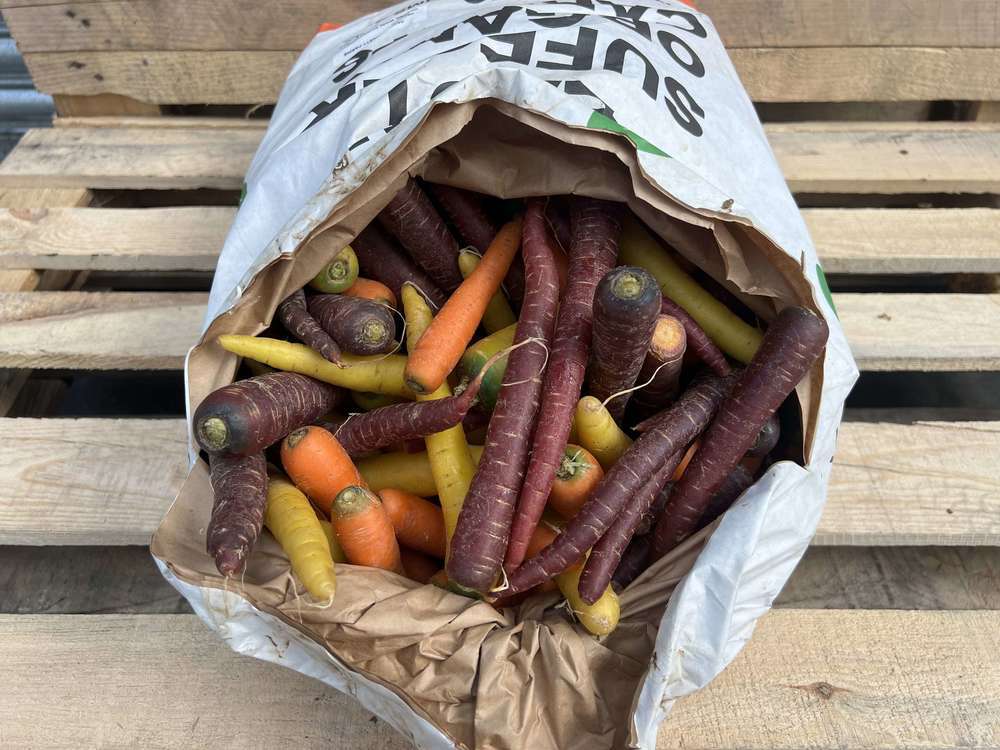 Carrots - British Organic Rainbow