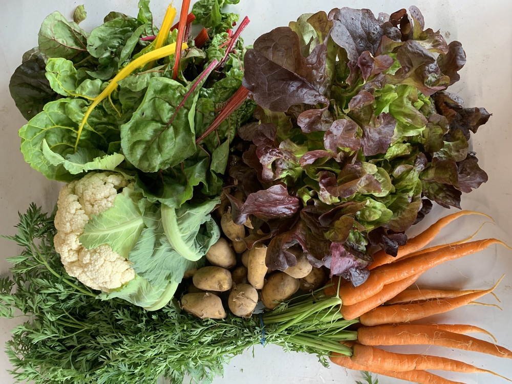 Mini Organic Veg Bag