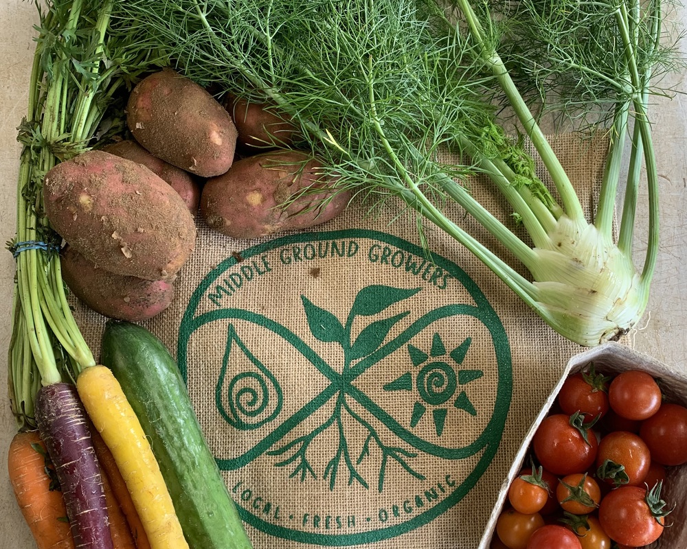 Mini Organic Veg Bag