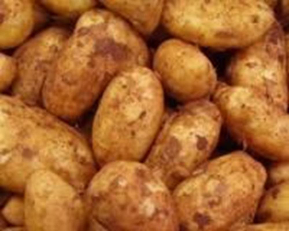 Potatoes - Baking (UK)