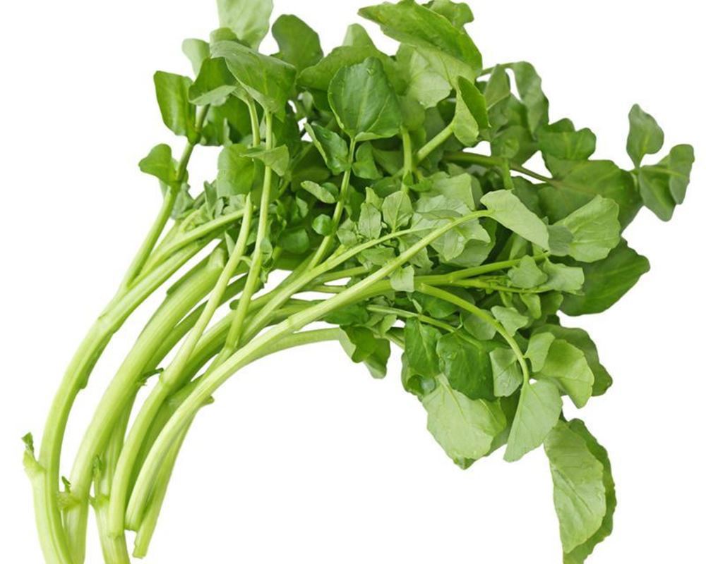 Watercress 100g