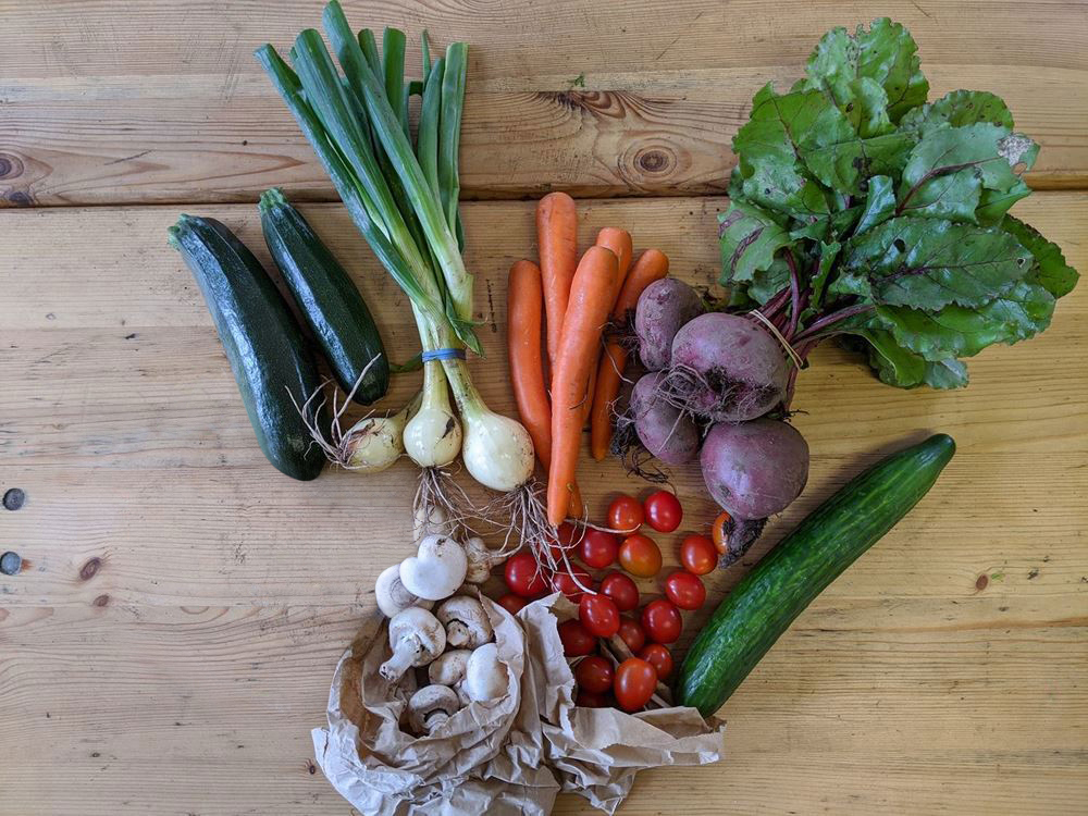 The Plastic Free Veg Box