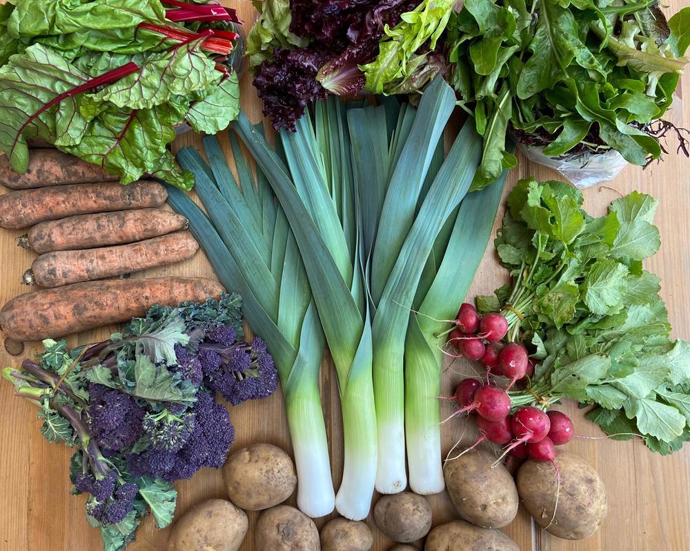 Seasonal Veg Bag XLARGE