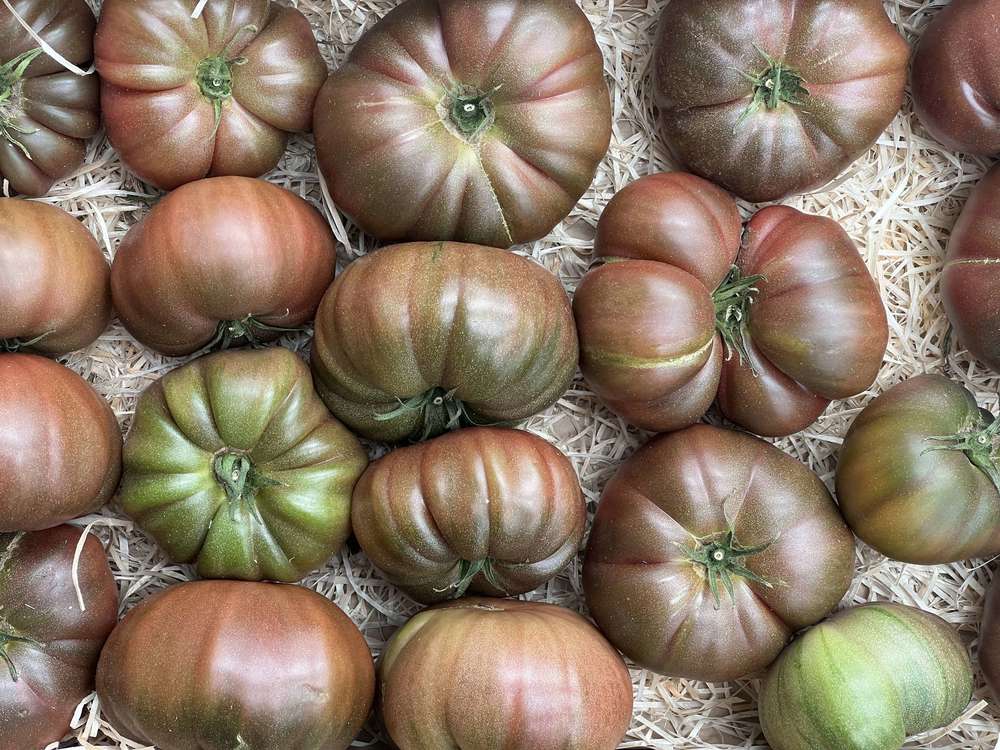 Tomato Black Crimée (700g)