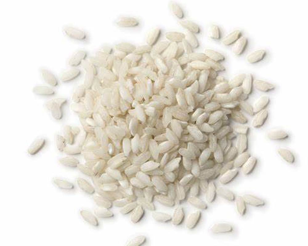 Reis arborio/Arborio Rice 100g