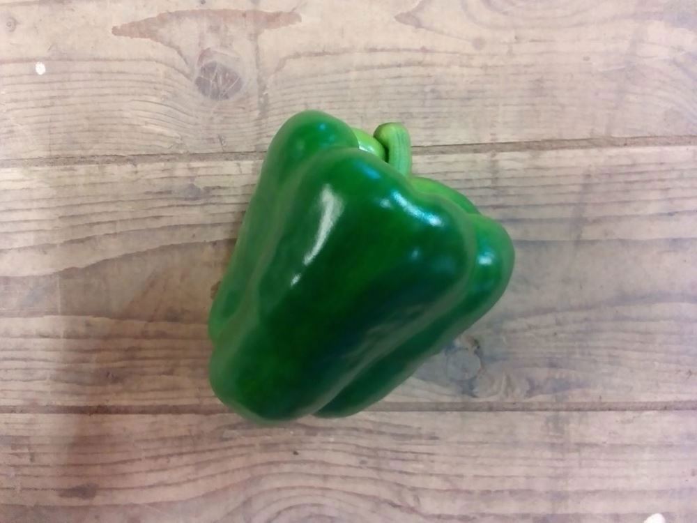 Pepper- Green Bell