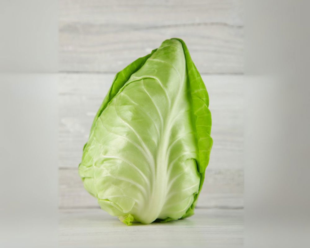 Pointed Cabbage