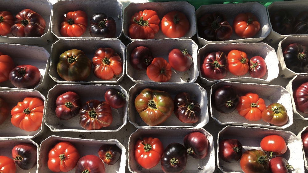 Large Veg Bag