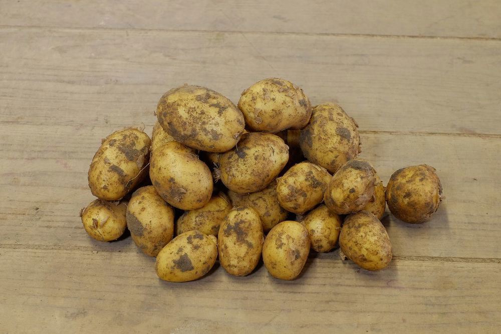 Potatoes- New !!