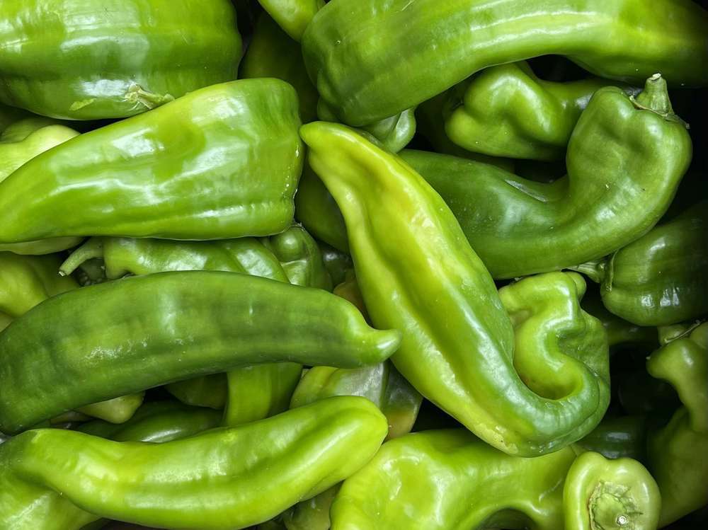 Organic Green Palermo Pepper