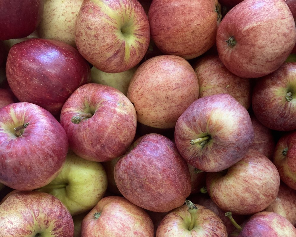 Apples (500g)