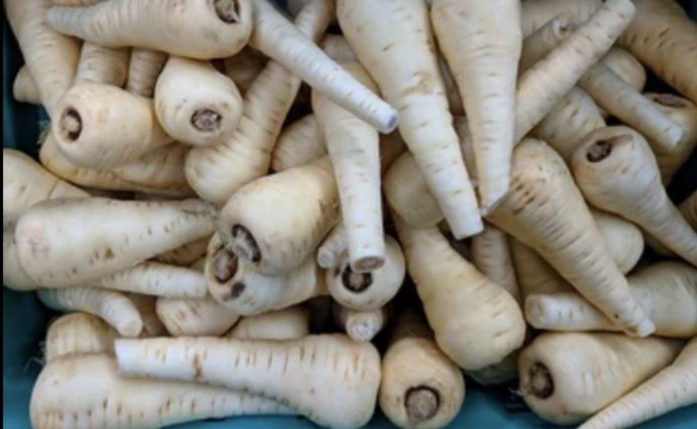 Parsnip (200g) 🇬🇧