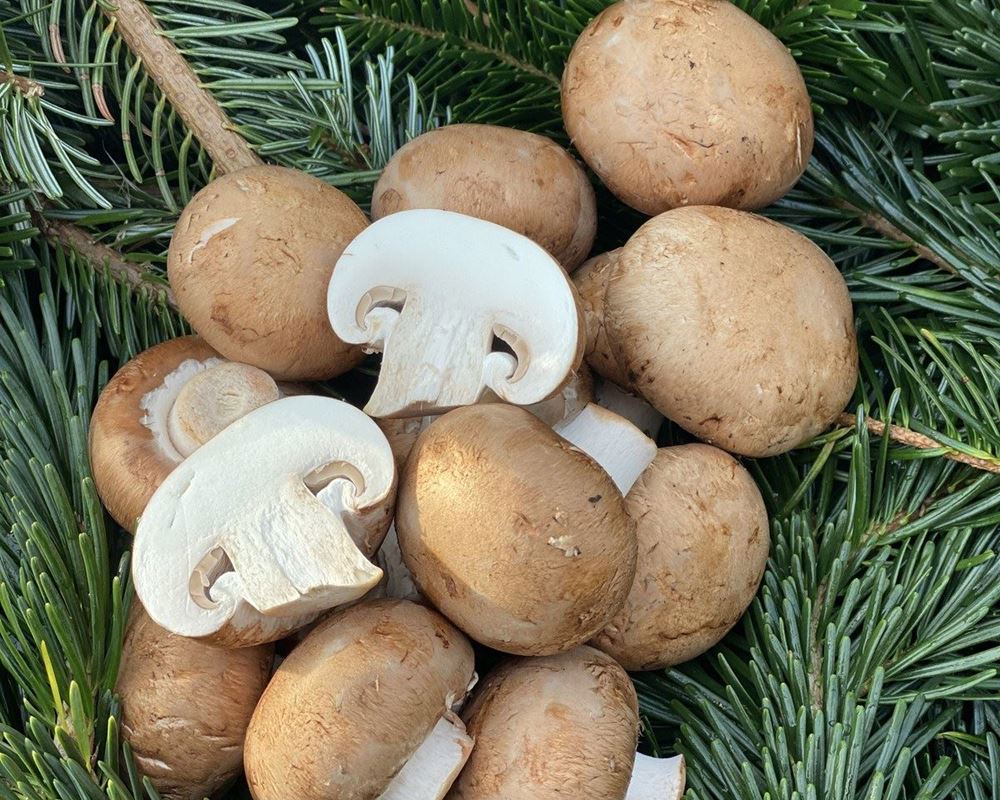 Mushrooms, Chestnut - approx 250g - Organic