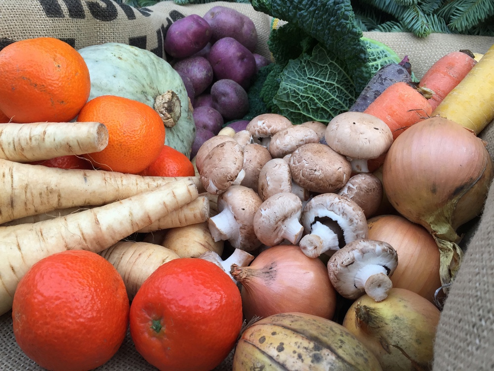 Mustard Tree Donation Bag - Medium