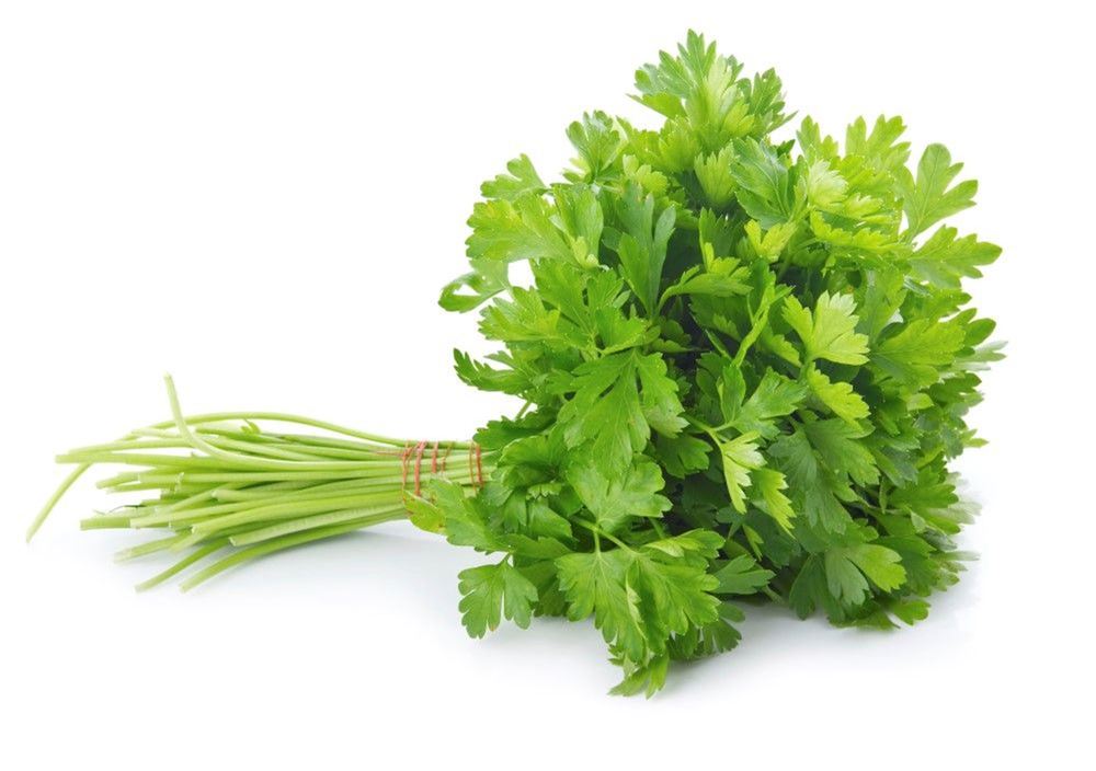 Herbs: Parsley Flat